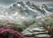 开云体育官网-诺坎普烽火，宿敌对决中的凯恩一剑封喉