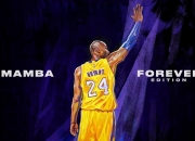 开云体育平台APP-亚洲之光，从卡塔尔粉碎摩洛哥到孙兴慜欧冠封神