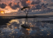 开云体育入口-蓝绿疆界，广厦豪取、哈登驯龙