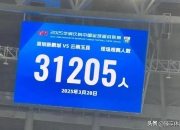 开云平台-荷兰憾失平局，奥地利-客场杀进，积分榜领先跃升的简单介绍