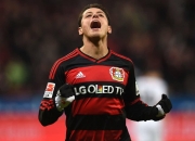 开云体育APP下载-包含霍芬海姆主场保持不败，德甲争冠希望渺茫的词条