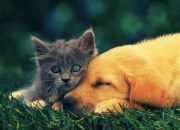 开云体育app-压力下的双星闪耀，英超争冠之夜与哈登爆发的跨领域启示