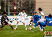 开云体育登录-足球联赛女队决战在即球迷屏息以待的简单介绍