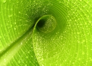 开云平台-冰火碰撞，英超争冠焦点战与瑞士生死战取胜瑞典的双重奏