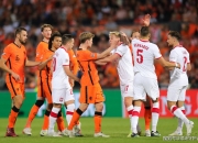 开云官网-波兰队成功挽回劣势，逼平奥地利队晋级异地举行的欧洲杯的简单介绍