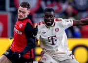 开云体育平台APP-关于勒沃库森客场不敌对手，积分榜下滑的信息