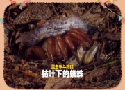 开云体育入口-惊险一刻！决赛上再现神奇逆转的简单介绍