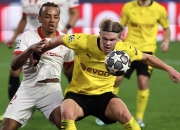 开云平台-瑞士翻盘荷兰，楚阿梅尼带队取胜