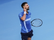 开云体育官网-美网绝杀联合杯，德约科维奇惊艳四座