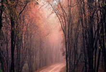 开云体育入口-红牌横飞！欧洲球星集体失控，豪门战绩集体崩盘