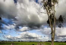 开云体育下载-阿尔希拉尔中场大将伤愈复出，战西雅图海湾者阵容稳固