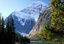 开云下载-鹿岛鹿角防守体系稳固，力求半决赛再创佳绩