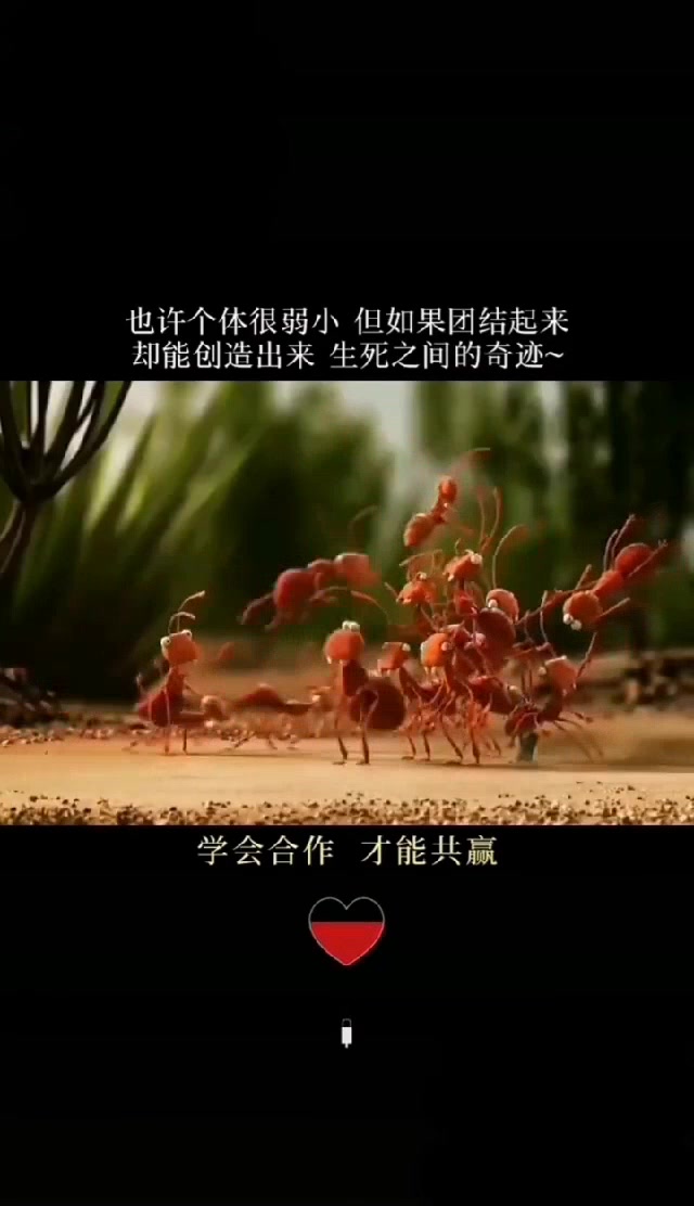 国家队选手团结一心,实力倍增的简单介绍 国家队选手团结一心,实力倍增的简单介绍