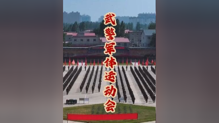 精彩对决,场上技战术较量,胜者至关重要的简单介绍 精彩对决,场上技战术较量,胜者至关重要的简单介绍