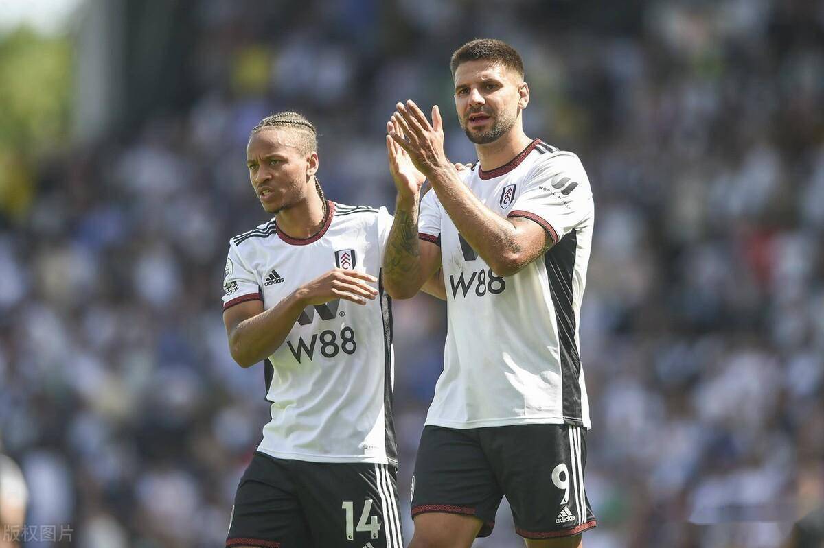 富勒姆主场告捷，米特洛维奇发威的简单介绍