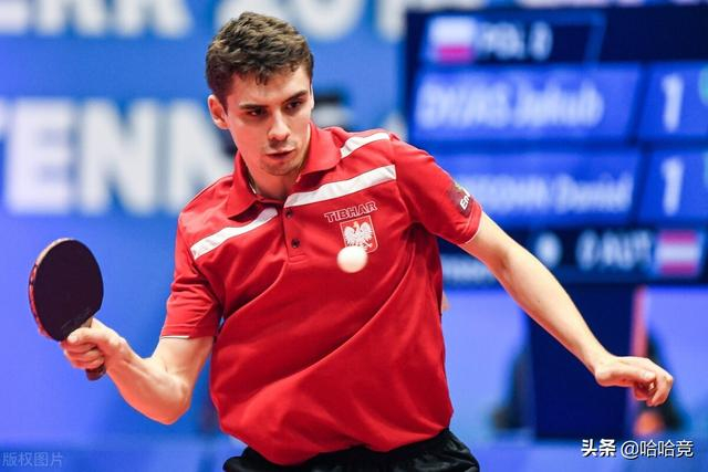 奥地利队逆转日本队,波尔扛起全队 奥地利队逆转日本队,波尔扛起全队