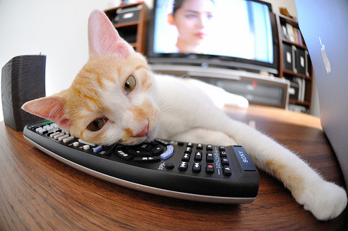 节奏大师卡拉斯科，卡塔尔对阵拉齐奥的战术灵魂