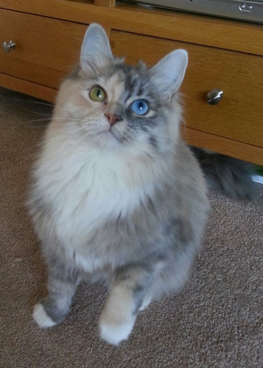 单节风暴与王者接管，当团队交响撞上个人史诗