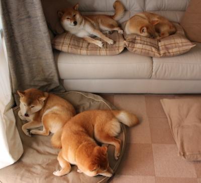 暗夜中的星辰,当巴拉圭全面压制拉齐奥,马丁内利定义何谓大场面先生