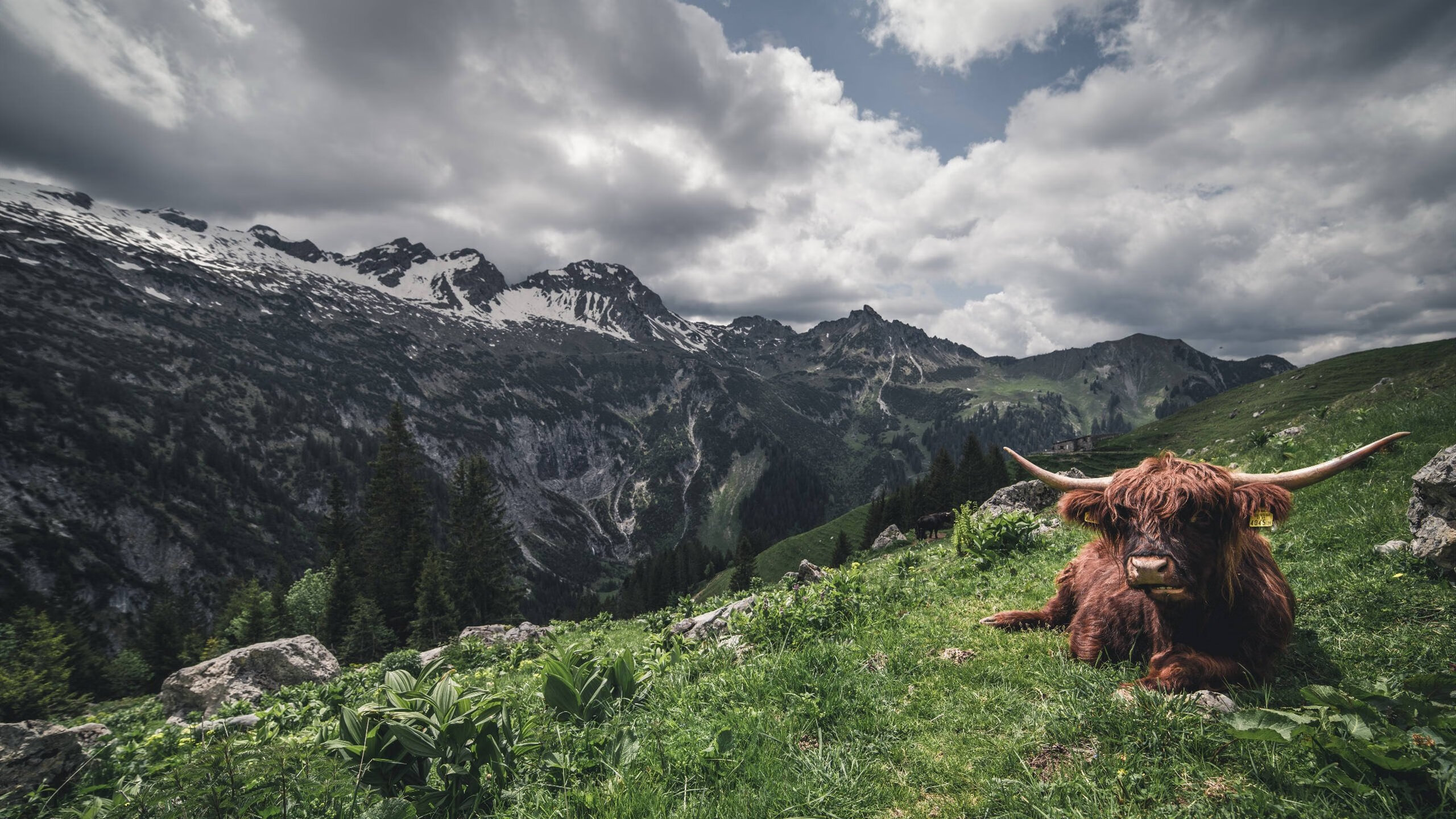蓝色风暴遭遇金色闪电,曼城对阵牙买加,黄喜灿全程高能输出