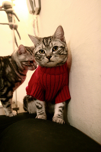 跨界鏖战，魔术与马刺的篮球史诗，欧文在德甲争冠战的传奇接管