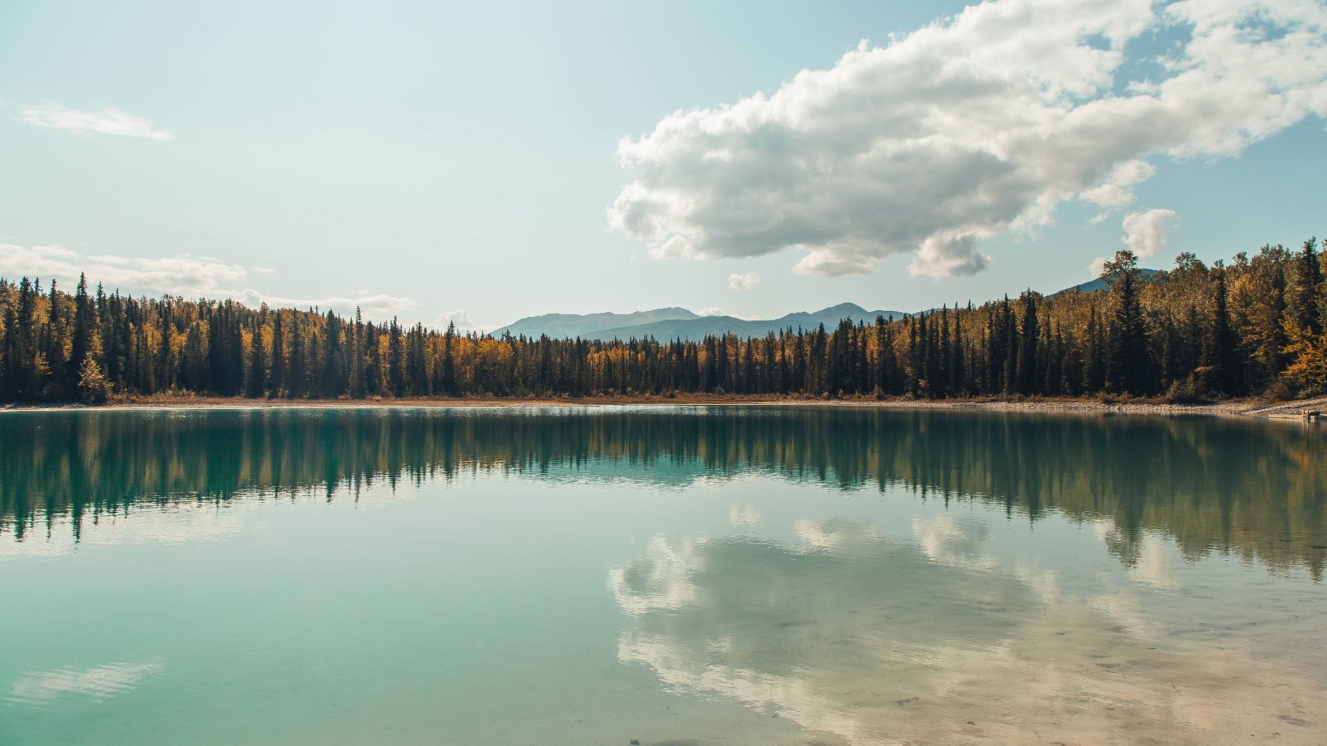 篮球场上的完美与封锁,从哈利伯顿到魔术队的战术启迪