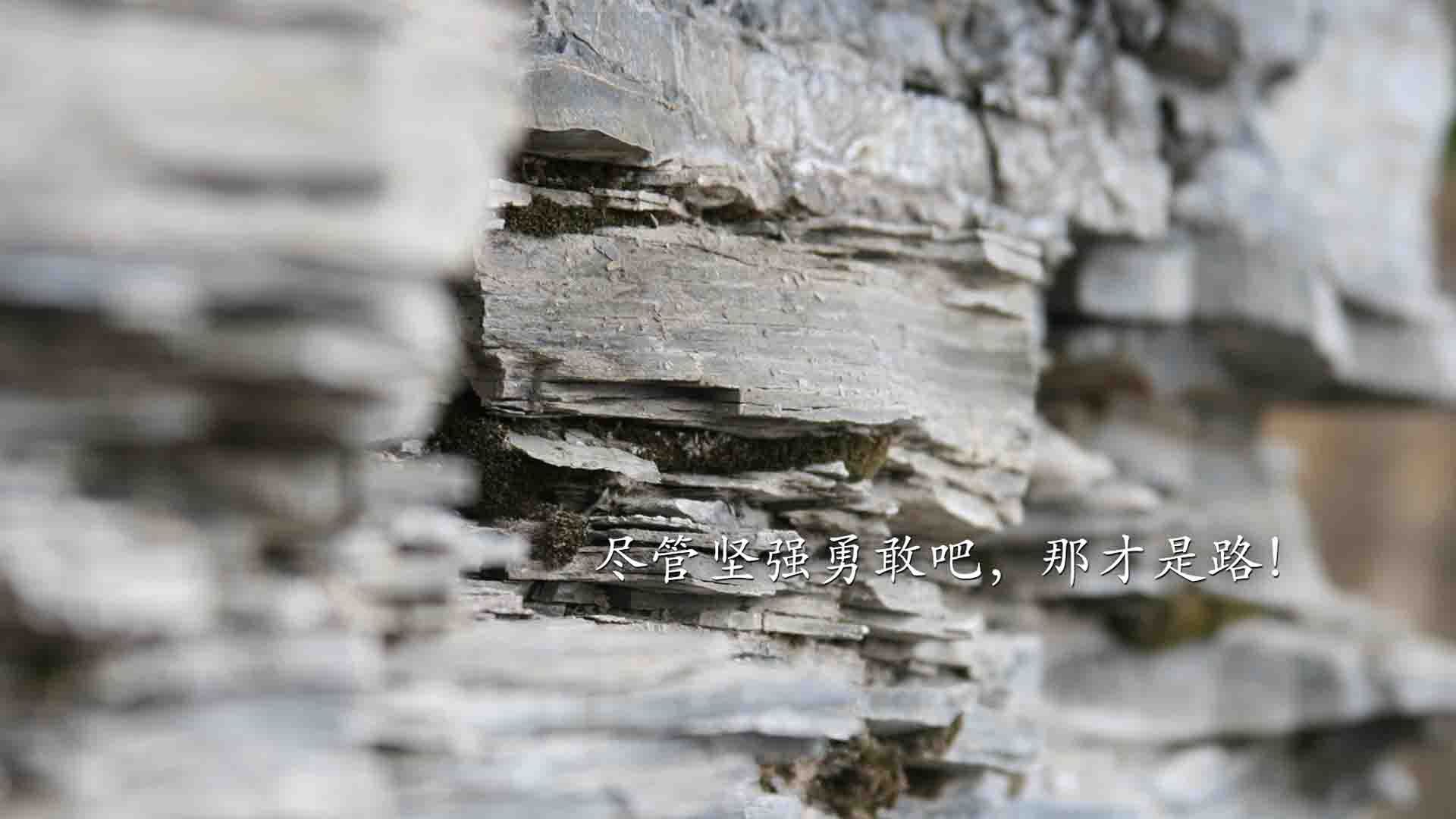 当非洲雄鹰遇见黄色潜水艇，C罗在跨文化足球盛宴中的终极救赎