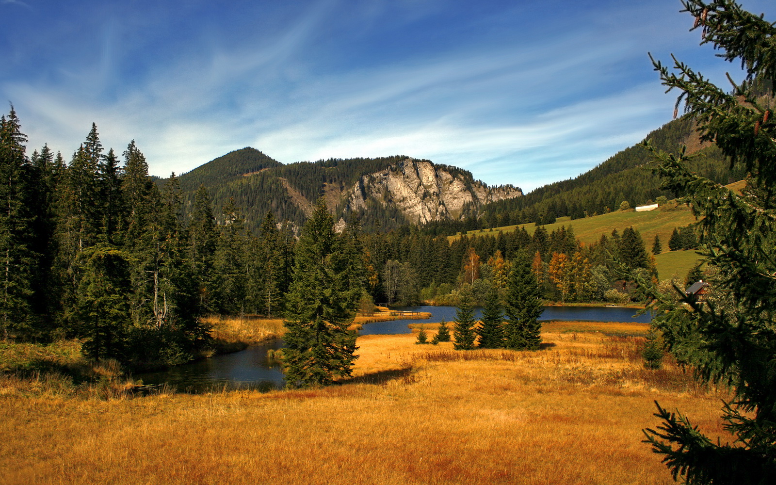 拉齐奥节奏掌控力压贝蒂斯，阿拉巴关键先生铸就胜利