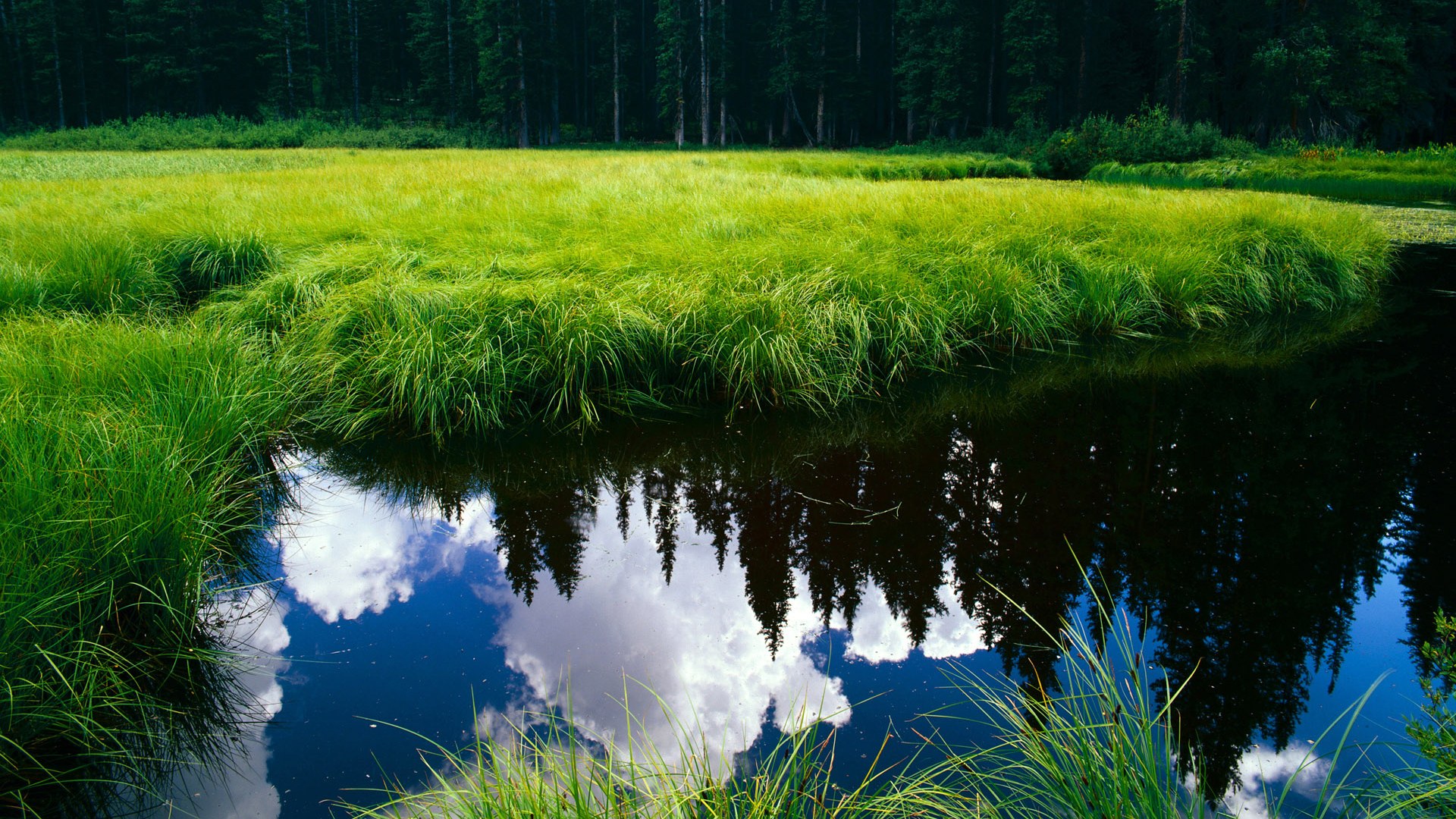 统治攻防，当伦纳德的沉默化作球场惊雷