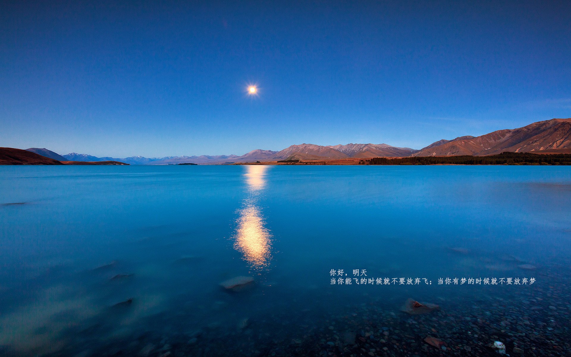 切特关键时刻显神威，灰熊鏖战险胜山西队