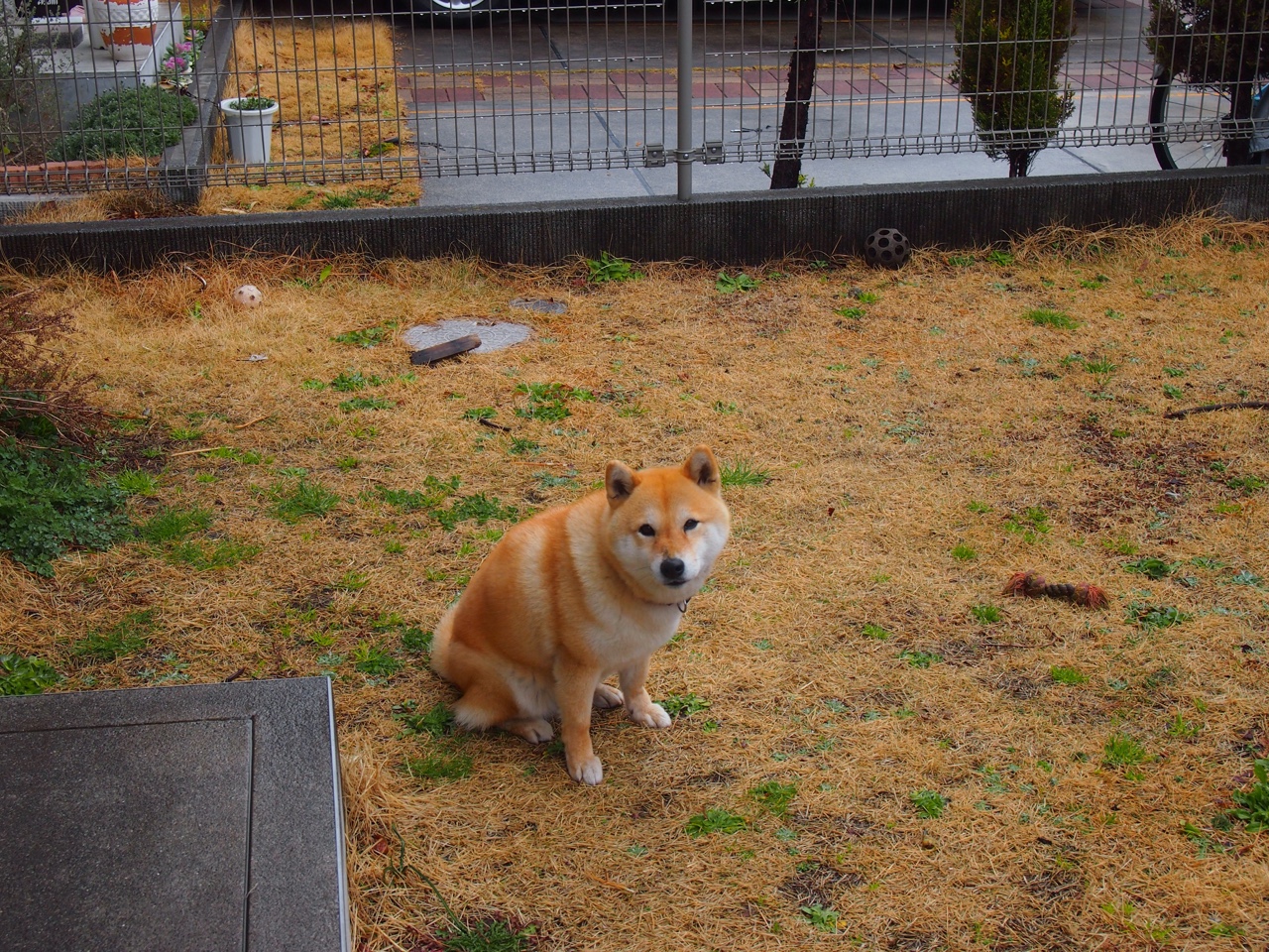 拉亚压力下绽放光芒，韩国队闪电战击溃突尼斯