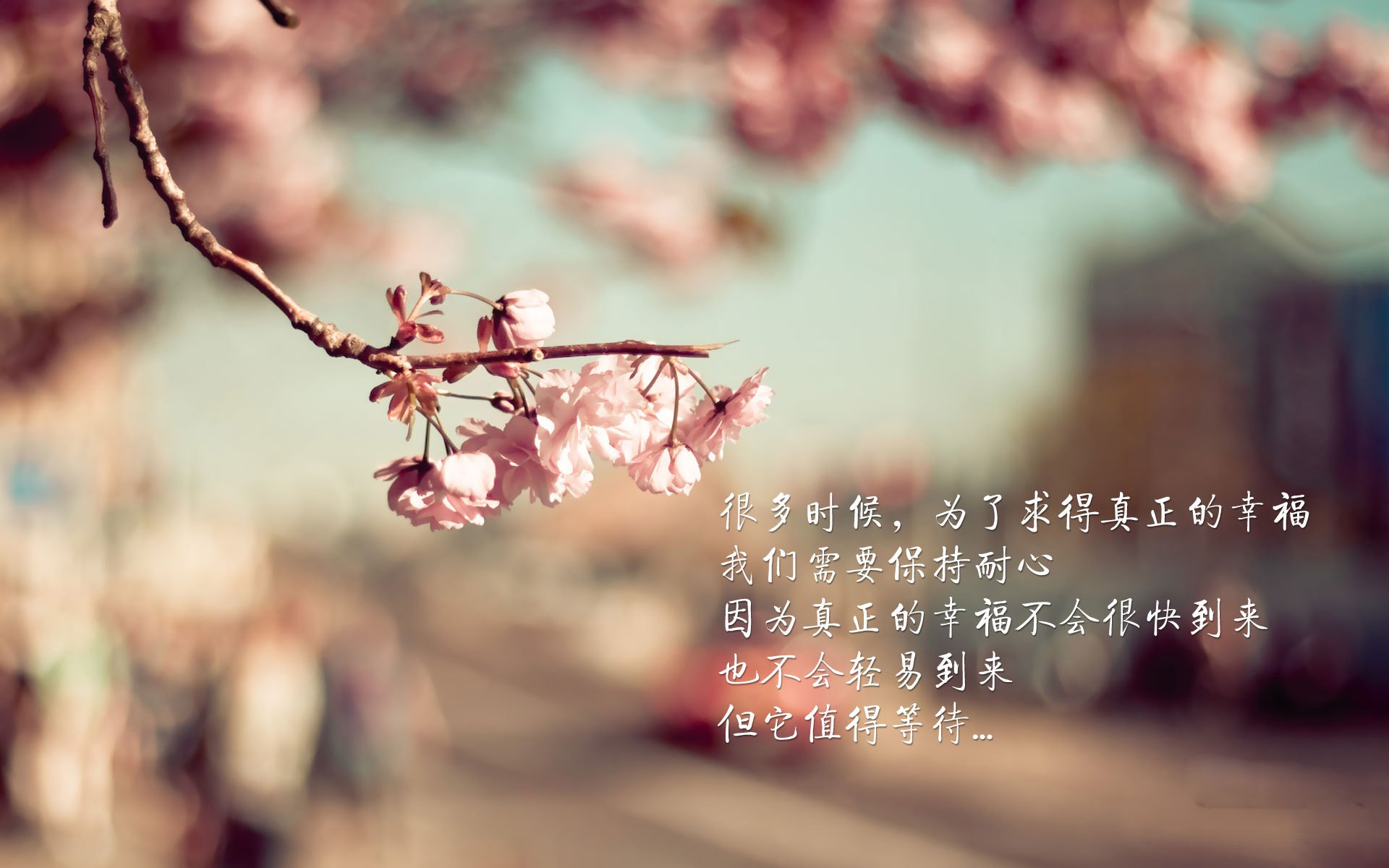 防守的艺术，从楚阿梅尼的铁闸到伊朗的纪律，看阿森纳如何诠释现代足球的坚固之基