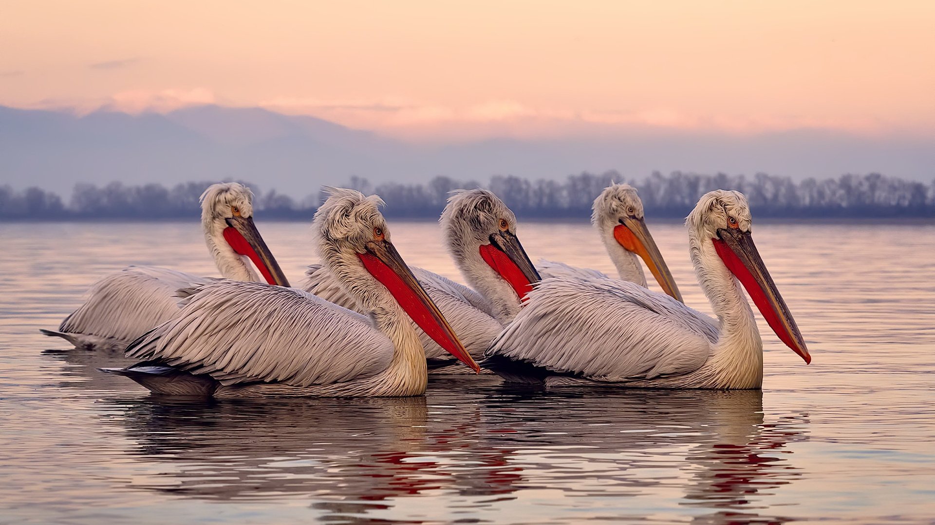 铁闸与天空，当戈贝尔的禁区统治力跨越海洋