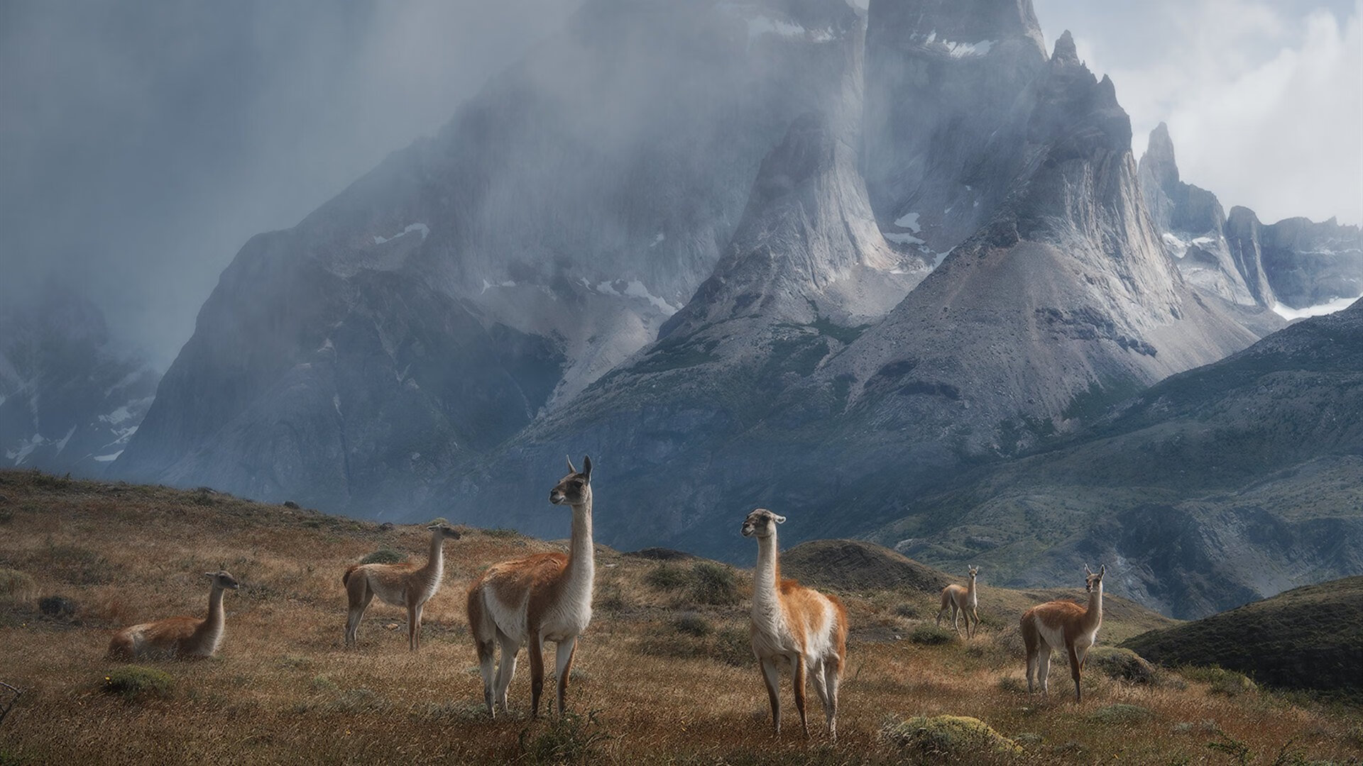冰封王座与烈焰新王，英格拉姆撕裂北境寒夜